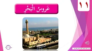 الدرس الحادي عشر عروس البحر الصف الثالث الفصل الأول 