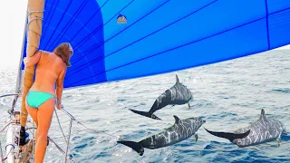 The Joy of Sailing, Our First Sail in a New Ocean! + FISH ON! (Calico Skies Sailing Ep. 139)