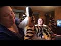 Unboxing Furreal Roarin Tyler the Playful Tiger