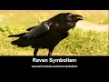 Raven Symbolism