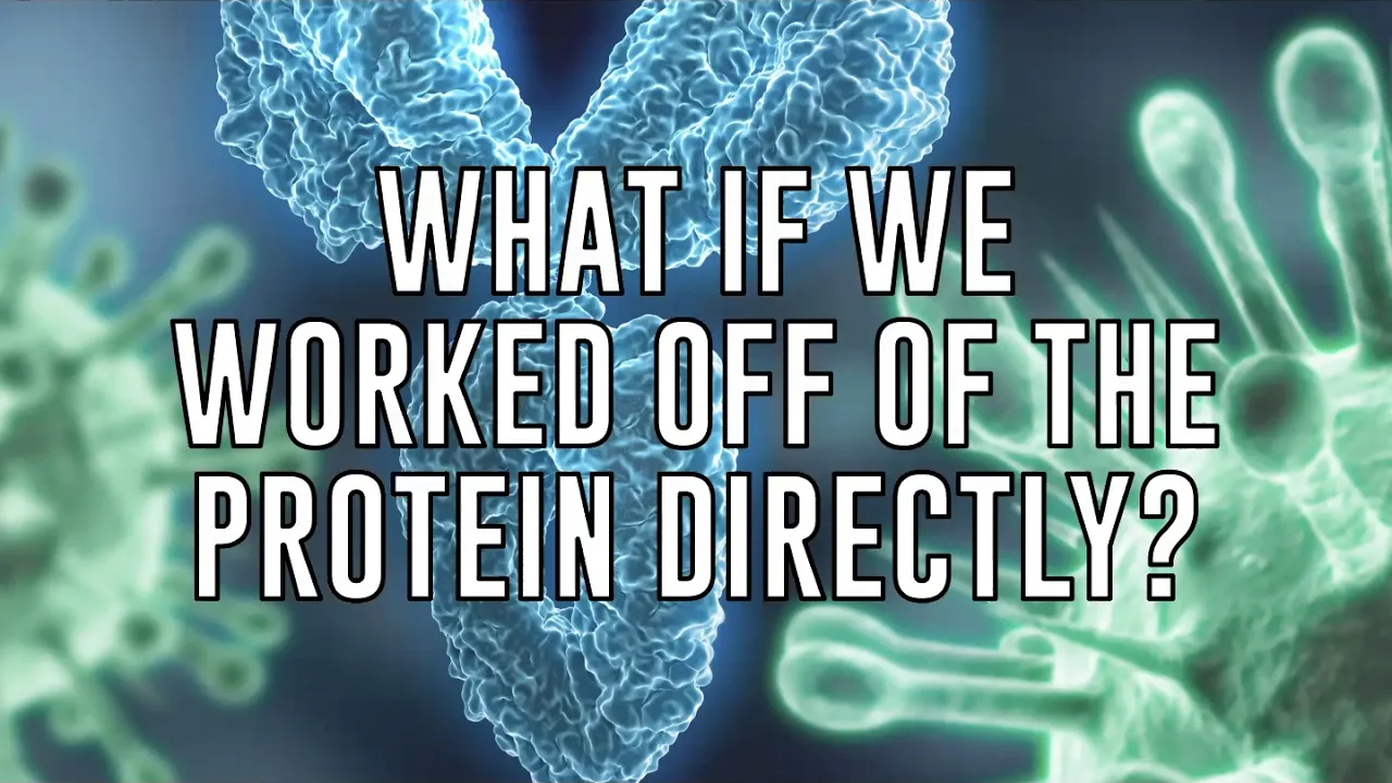 Antibody Characterization by Mass Spectrometry