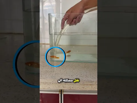 صنع طريقًا خاصًا للسمكة😯 ؟!