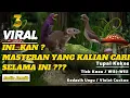 Download Lagu MASTERAN FULL TEMBAKAN TUPAI KEKES VS KEDASIH UNGU VS THICK KNEE , MASTERAN YANG KEMBALI VIRAL
