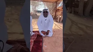 وصف الذيب بو عبيد للمطيه 