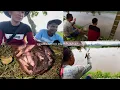 Download Lagu Poi leit khwai lang bad u Dus barim bajah,ha ryngkat Ki paralok sha(amguri maloibari ) ph:8812950726