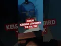 Lagu CIGUN rasa lovebird  #cigun  #lovebirds  #masteranmuraibatufullisian  #shorts  #trandingshorts