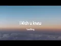 Vaultboy - I wish u knew (Lyrics)