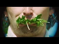 Thesaurus Rex - Weak Days (Official Music Video)