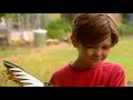CBeebies | Tommy Zoom - S01 Episode 7 (Stop the Rot)