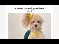 My weekly meetings with HR part 3 - uncut version