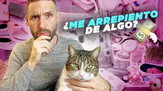 expenses cat Alcachofo 12 months