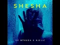 De Mthuda & Njelic - Shesha