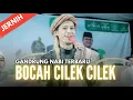 Download Lagu TERBARU‼️ BOCAH CILEK CILEK JEJER MEREK MEREK GANDRUNG NABI || FULL BASS