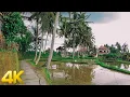 Download Lagu 4K Walking on UBUD Kajeng Rice Field, market bali