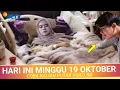 Lagu Terbaru !! Semua Jadi SYOK, Lesti Kejora Tetiba Harus Dirawat Gegara Hal Ini, Netizen Kaget, Leslar