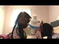 Cirkul Water Juice Transforming Bottle Worth It Review link in the description
