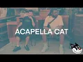 MIKE & Wiki - The Mayors A Cop Acapella 129 BPM - 4K Acapella Cat