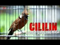 Download Lagu CILILIN GACOR !! GURU VOCAL FAVORIT SEPANJANG MASA