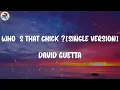 David Guetta - Who's That Chick ? (feat. Rihanna) [Single Version] (Lyrics)