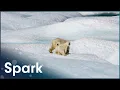 Download Understanding The Science Of Climate Change | Earth's Survival | Spark mp4 3gp mp3 videos - waplic