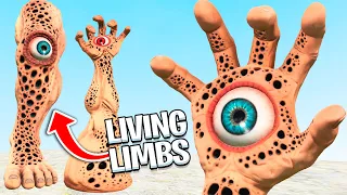 LIVING LIMBS 🖐🏻 Trypophobia Arms and Legs in Gmod!