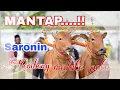 Download Lagu SARONIN || KEMBENG MALATE POTE