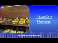 Achieve 3000 Answers Hawaiian Harvest