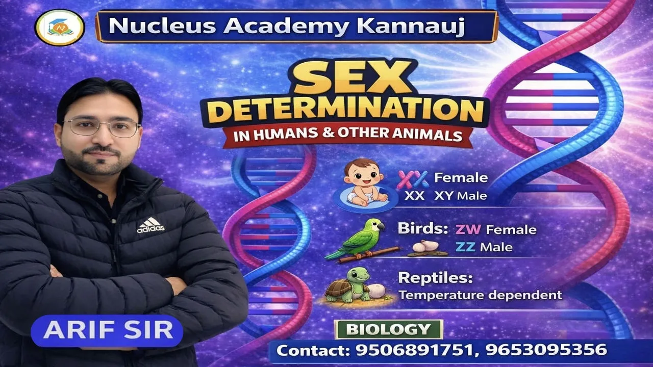 SEX DETERMINATION - in Human & Animals | XX XY , ZW ZZ Explained | biology | Arif sir