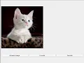Steganography LSB Demo