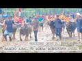 Download Lagu MACAN POTE  CILIK  \u0026  GACOR KOLO  || SAMBO \u0026 MEGA MENDUNG || LGPI || FULL 2 ABERAN ||