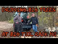 Cutting Down Big Trees at Big Tool Rack