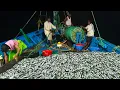 Download Lagu Fishing in the Arabian sea. #catching too many fish [SJV BOAT belambar Ankola] #fishing #fishboat 