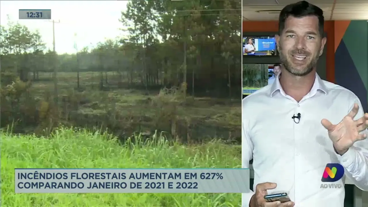 Incêndios florestais aumentam em 627% comparando janeiro de 2021 e 2022