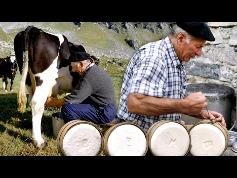 Download MP3 QUESO artesano en una cabaña del Pirineo. Elaboración en 1996 con leche recién ordeñada | Documental