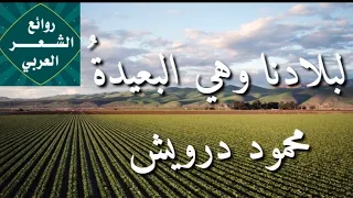 لبلادنا وهي البعيده محمود درويش Mahmoud Darwish  لبلادنا وهي البعيده محمود درويش Mahmoud Darwish