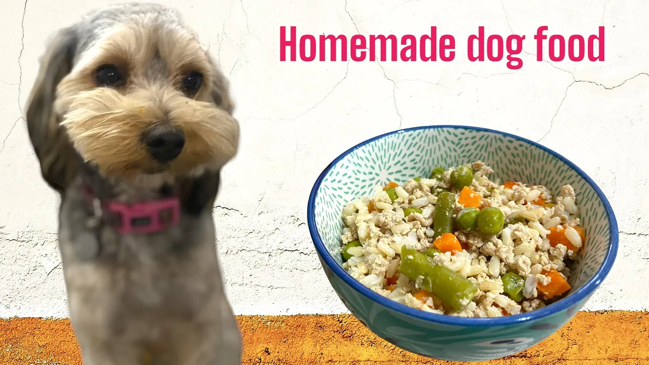 The Best Homemade Dog Food Recipe: Just 3 Ingredients!