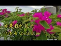 伍佰 & China Blue - 妳是我的花朵(歌詞)