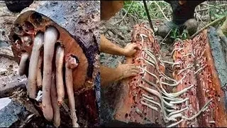 Klasik Köfte Yapmaktan Sıkılanlara 8 Değişik Köfte Tarifi - Köfte Tarifleri | Yemek.com. 