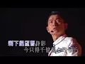 Download Lagu Andy Lau 刘德华 Liu De Hua - Yi Qi Zou Guo De Ri Zi 一起走过的日子.mp4