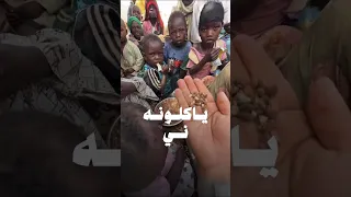النجاه الخيريه النجاه الخيريه الكويت السودان اليوم السودان الفاشر اليوم الفاشر اليوم 