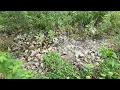 Frankfort Eastside Flood Control August 15 2026 Water Flow Between Retention Ponds