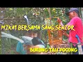 Lagu mikat burung,menelusuri hutan/woww!!!point burung tali pocong...!!!