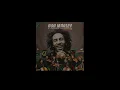 Satisfy My Soul – Bob Marley and The Chineke! Orchestra (Visualizer)