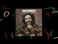 Download Lagu Satisfy My Soul – Bob Marley and The Chineke! Orchestra (Visualizer)