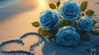 ፍቅር Tubeمساء الورد 