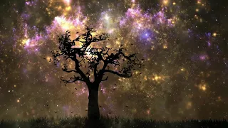 Midnight Poetry Readings for Sleep • Calm Your Mind • Anxiety Relief