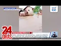 Download Lagu Baha, landslide at rockfall, ilan sa epekto ng Habagat na hinatak ng Bagyong Bising | 24 Oras