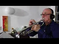 Further Arrivals - Brian Lynch Artist Ensemble