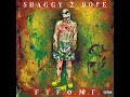 Tell These Bitches - Shaggy 2 Dope