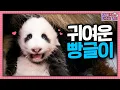 The 4th Bao s Face Lights Up with a Huge Smile Whenever She Sees Grandpa Granpa s POV ep 272